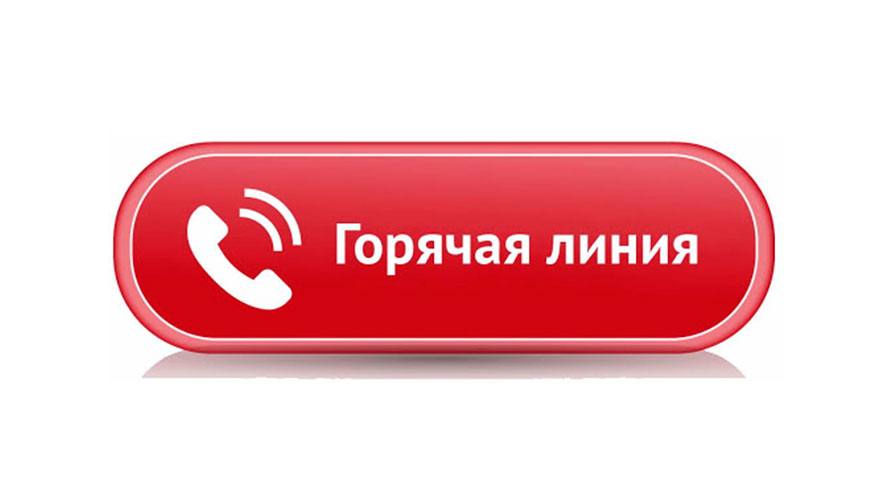 Открыта горячая линия департамента по молодежной политике, физкультуре и спорту