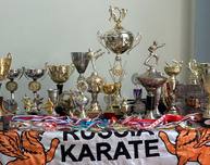Семинар по контактному карате Хачи-о-Кай Кан Рю в Томске. Репортаж SportUs.Pro